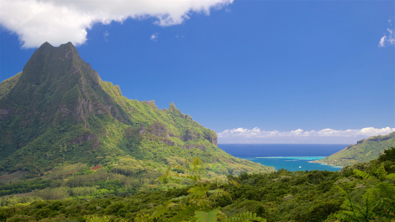 Baie de Cook - Monterusciello | Secret World Trip Planner