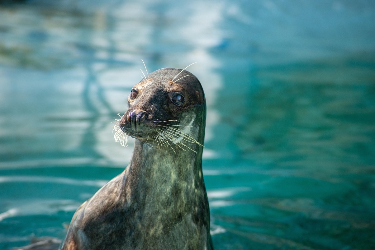 Le zoo de Cleveland Metroparks - Cleveland | Secret World Trip Planner