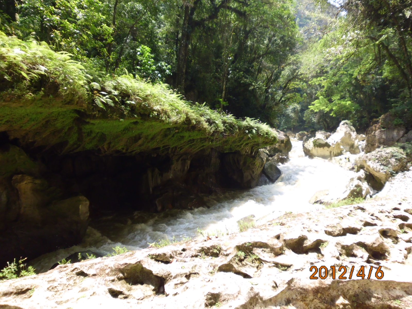 Semuc Champey : 18 bassins calcaires formés naturellement - San Agustín Lanquín | Secret World Trip Planner