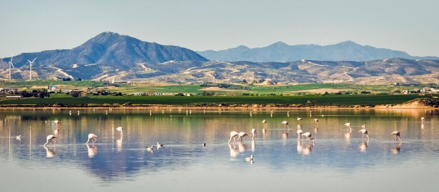 Lac salé de Larnaca - Larnaca | Secret World Trip Planner