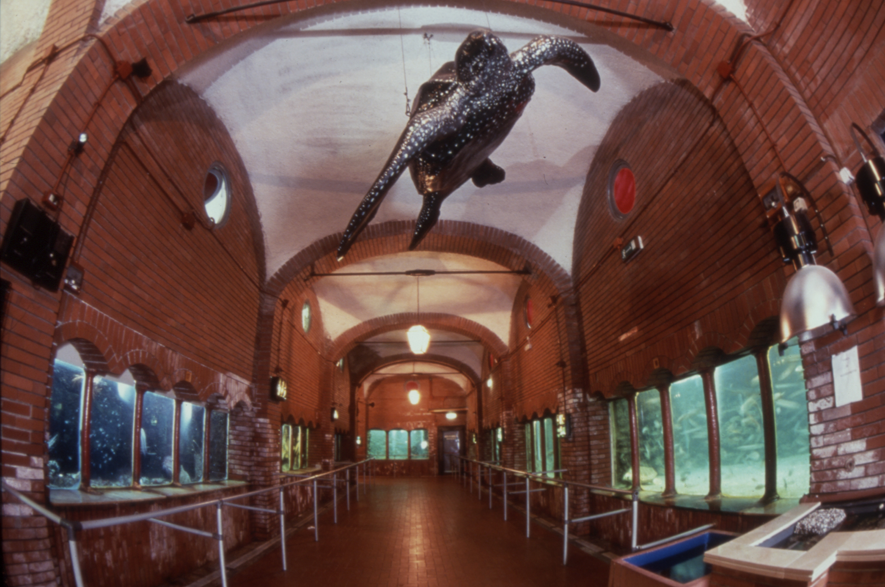 Estació Zoològica Anton Dohrn de Nàpols - Napoli | Secret World Trip Planner