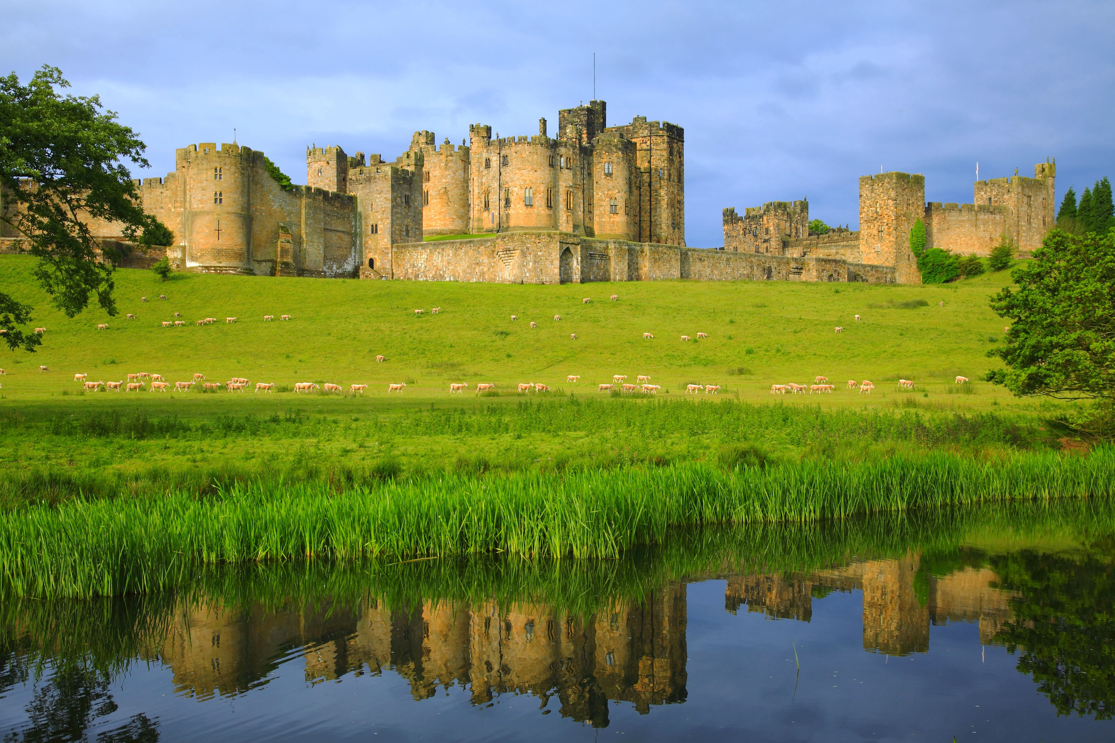 Alnwick, le deuxième plus grand château habité d'Angleterre — Alnwick Castle