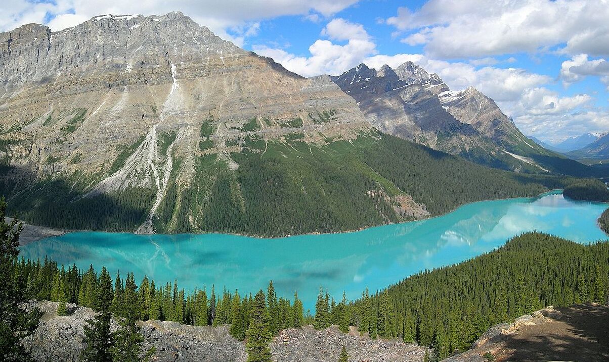 Les eaux bleu turquoise du lac Peyto — Improvement District No. 9