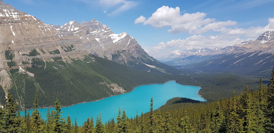 Les eaux bleu turquoise du lac Peyto - Improvement District No. 9 | Secret World Trip Planner
