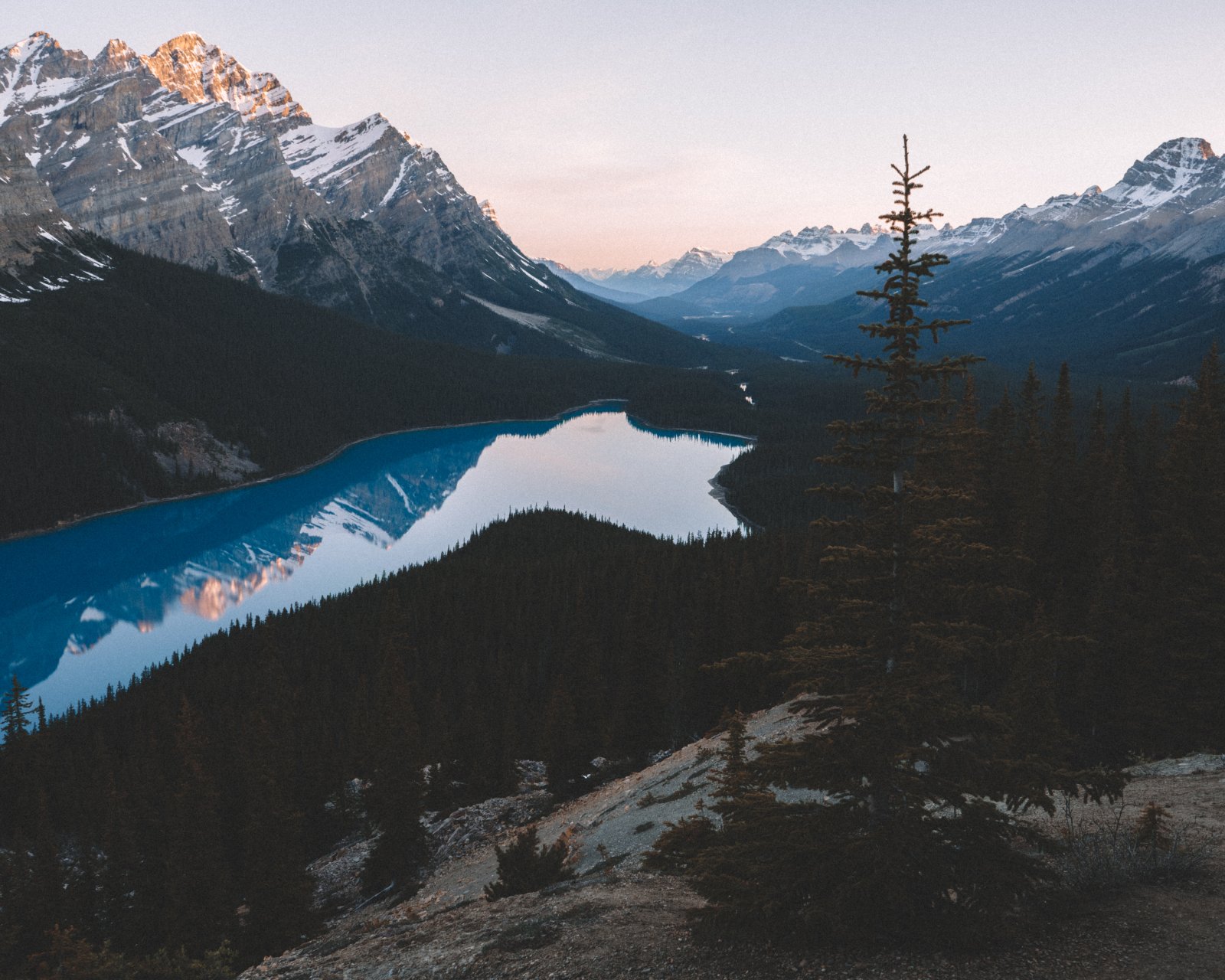 Les eaux bleu turquoise du lac Peyto - Improvement District No. 9 | Secret World Trip Planner