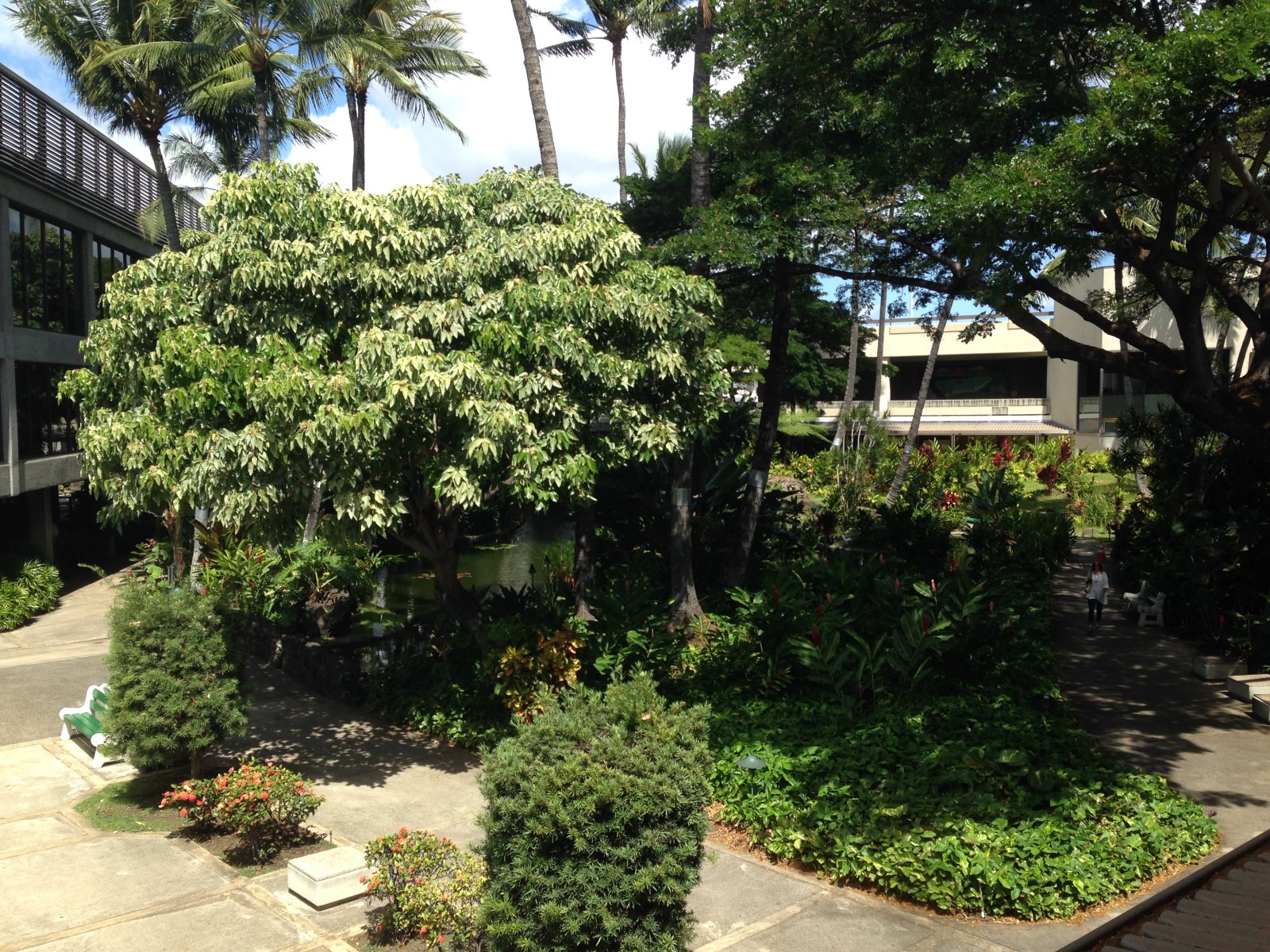 Honolulu:One of the world’s most calming airport lounges - Honolulu | Secret World Trip Planner