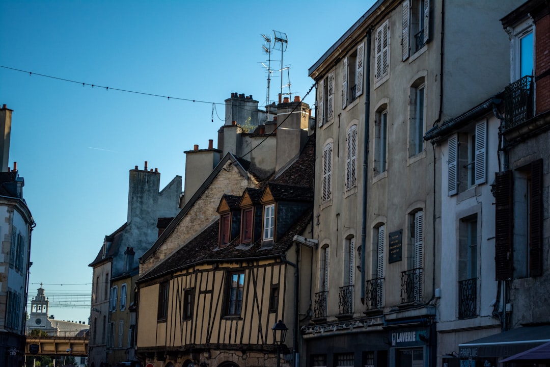 Francia e cibo | Senape di Digione - Digione | Secret World Trip Planner