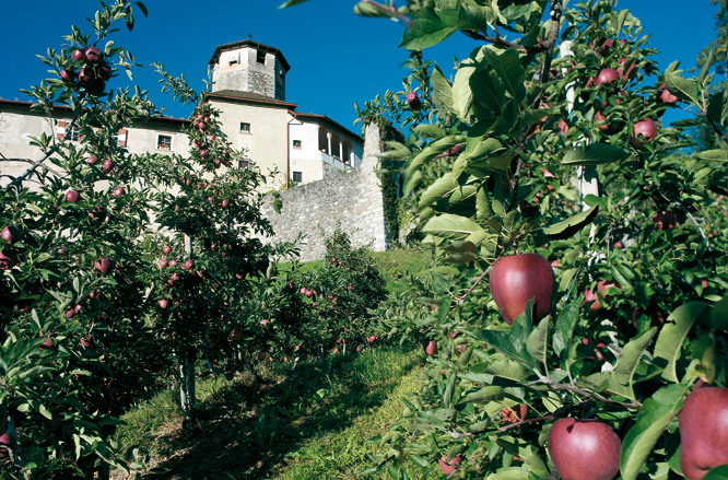Bustani za tufaha za Val di Non - Val di Non | Secret World Trip Planner