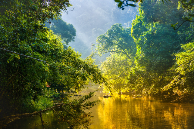 Corcovado National Park - Los Patos Sirena Trail | Secret World Trip Planner
