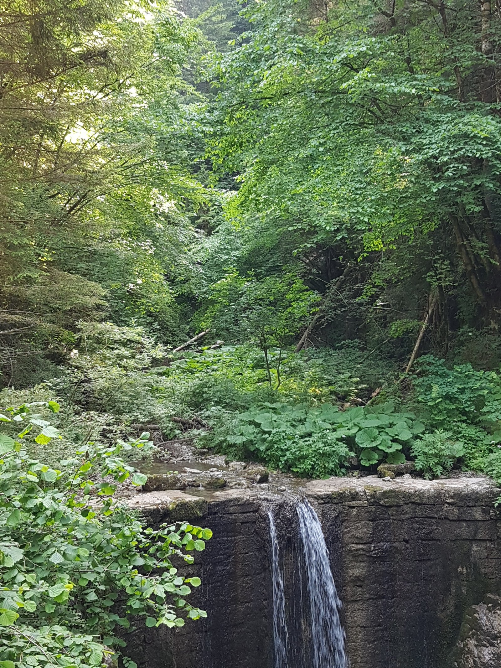 trentino : la cascade de Gorg d'abiss - Tiarno di Sotto | Secret World Trip Planner