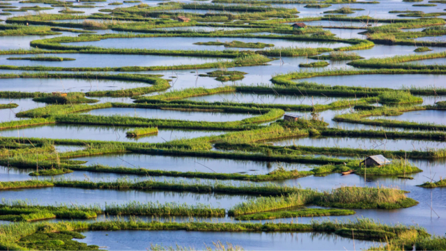 Les îles flottantes du lac Loktak - Loktak Lake | Secret World Trip Planner