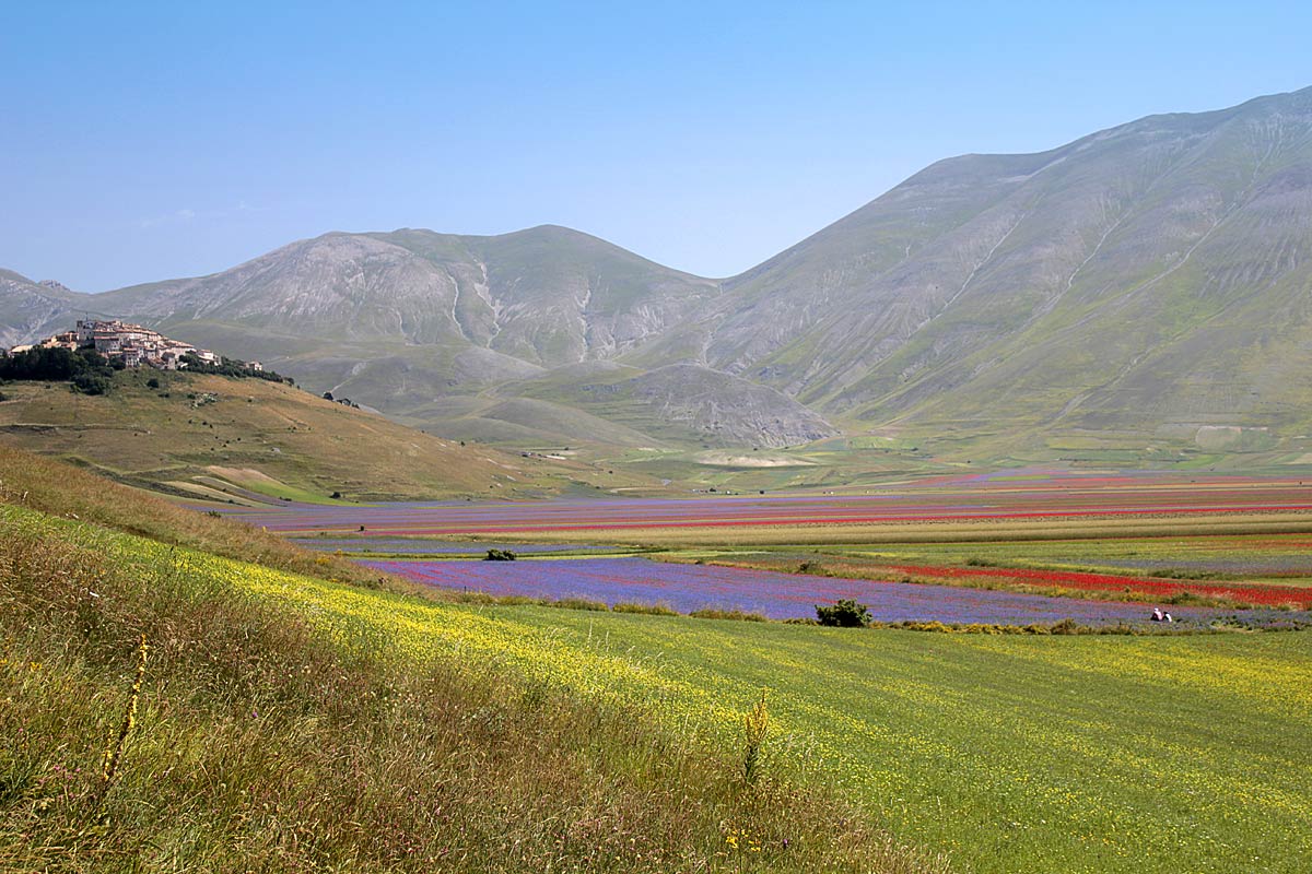 Die Blütezeit von Castelluccio - Castelluccio | Secret World Trip Planner