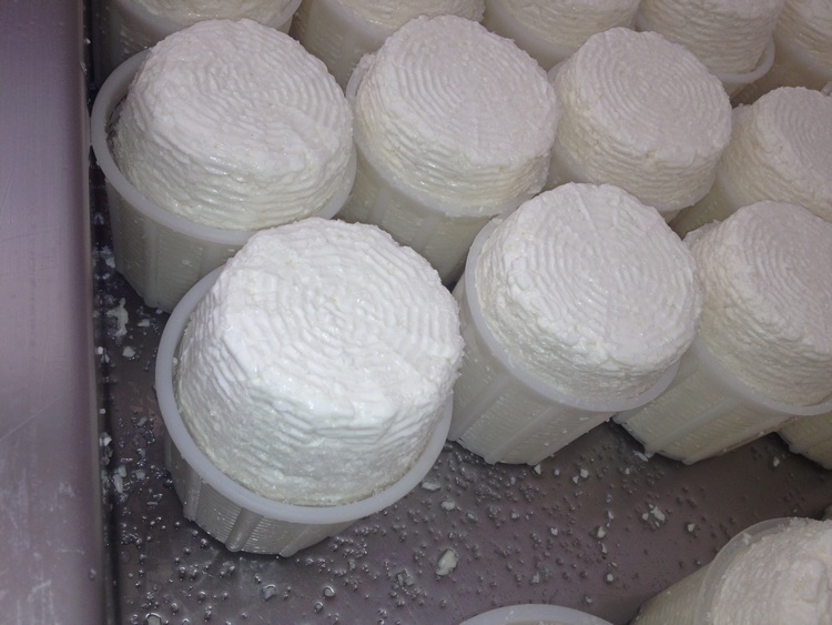 Ricotta van Fuscella di Sant ' Anastasia - Sant'Anastasia | Secret World Trip Planner