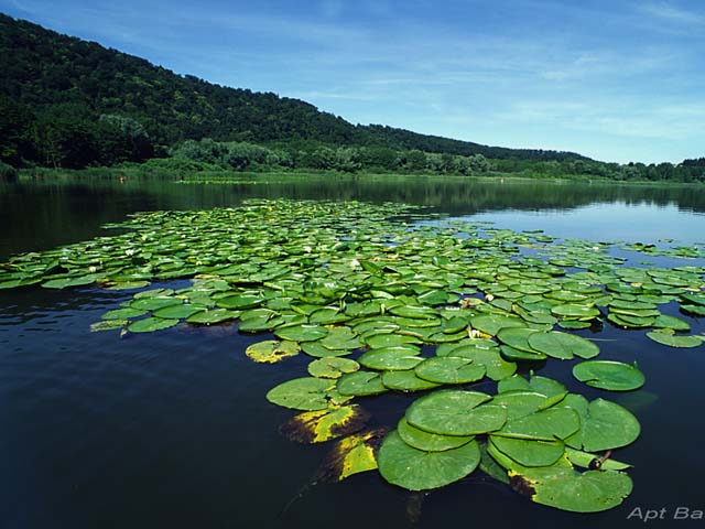 Monticchio ežerai - Laghi di Monticchio | Secret World Trip Planner