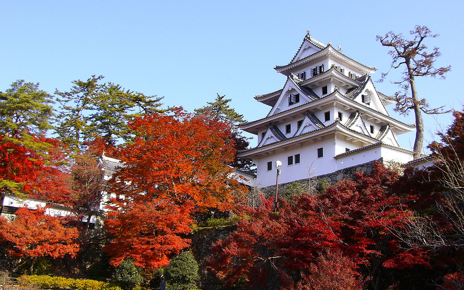 Château Gujo Hachiman — Guj?-shi