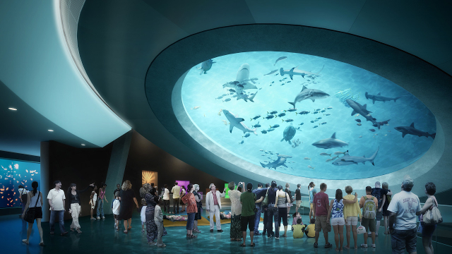 Musée des sciences Phillip et Patricia Frost — Miami