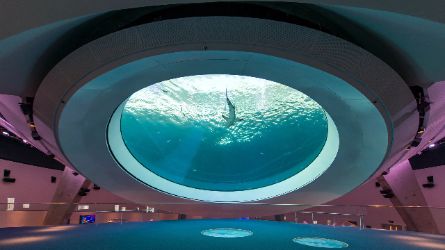 Musée des sciences Phillip et Patricia Frost - Miami | Secret World Trip Planner