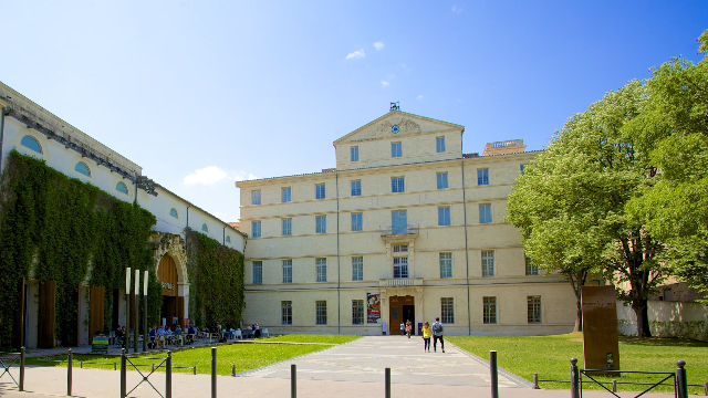 Fabre Museum - Montpellier | Secret World Trip Planner