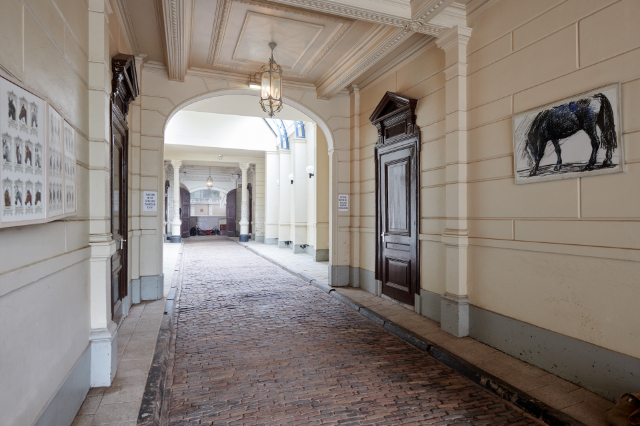 Scuola di equitazione olandese - Amsterdam | Secret World Trip Planner