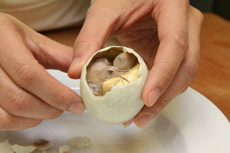 Balut - Les Philippines - Manila | Secret World Trip Planner