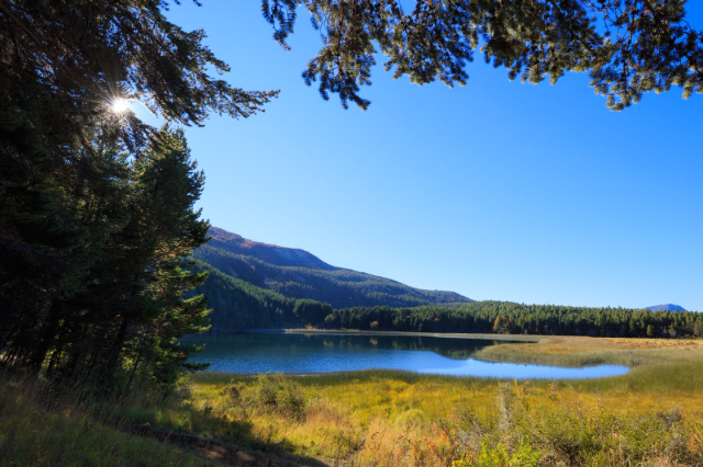 Réserve nationale de Coyhaique - Coyhaique | Secret World Trip Planner
