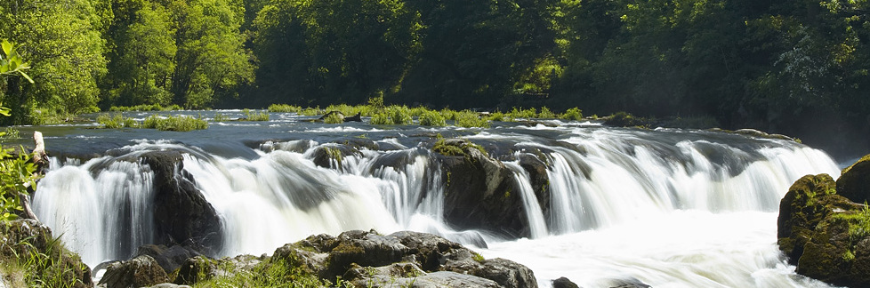 Les chutes de Cenarth sur la rivière Teifi — Cenarth