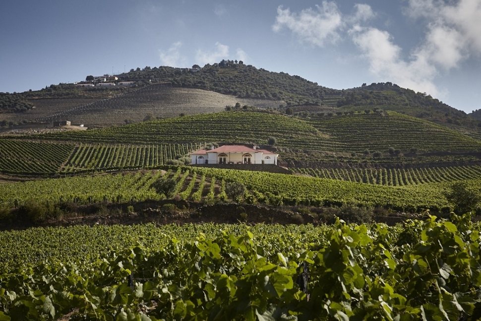 Quinta do Bomfim a famous and emblematic ‘Estates’ — Pinhão, Alijo