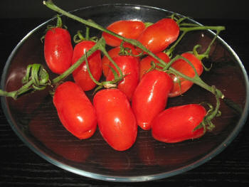 San Marzano - Raja Tomat - Sarno | Secret World Trip Planner