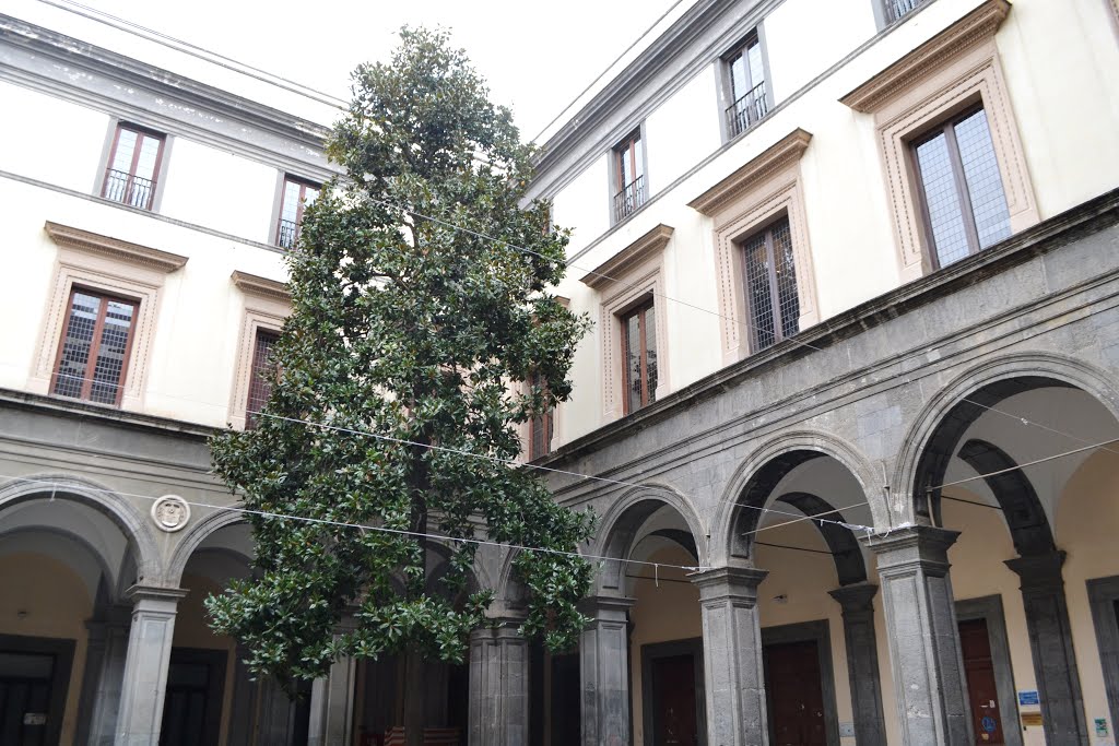 Palazzo Orsini ໃນ Gravina - Napoli | Secret World Trip Planner