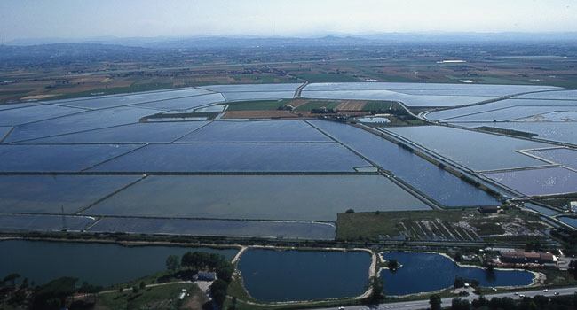 Naravni rezervat Salina di Cervia - 61 | Secret World Trip Planner