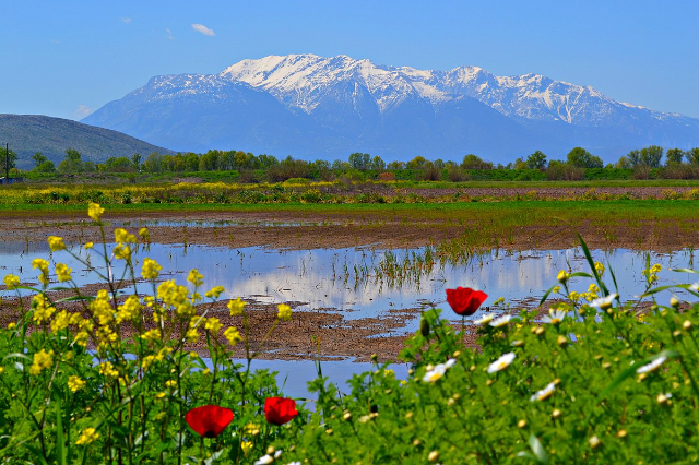 Nationalpark des Berges Parnassos - Arachova | Secret World Trip Planner