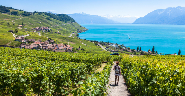 Lavaux, İsviçre üzüm bağları UNESCO mirası. - Distretto di Lavaux-Oron | Secret World Trip Planner
