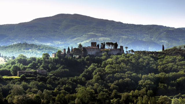 Reschio loss - Tabaccaia di Reschio | Secret World Trip Planner