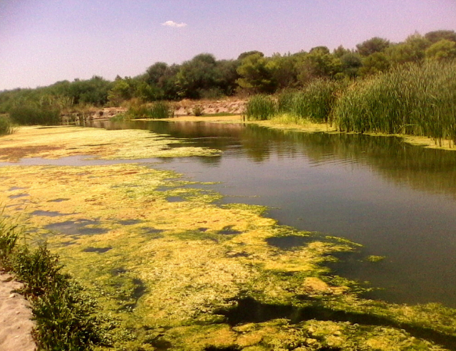 Eksplorimi i Oazës WWF të Policoro - 1 | Secret World Trip Planner