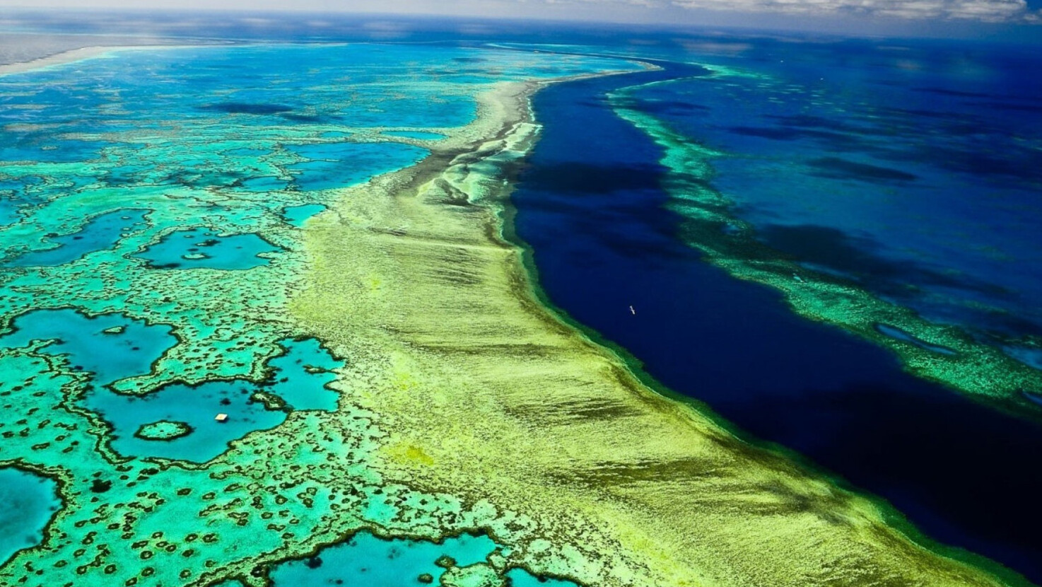 The world's largest reef system, the Great Barrier Reef — Grande barriera corallina