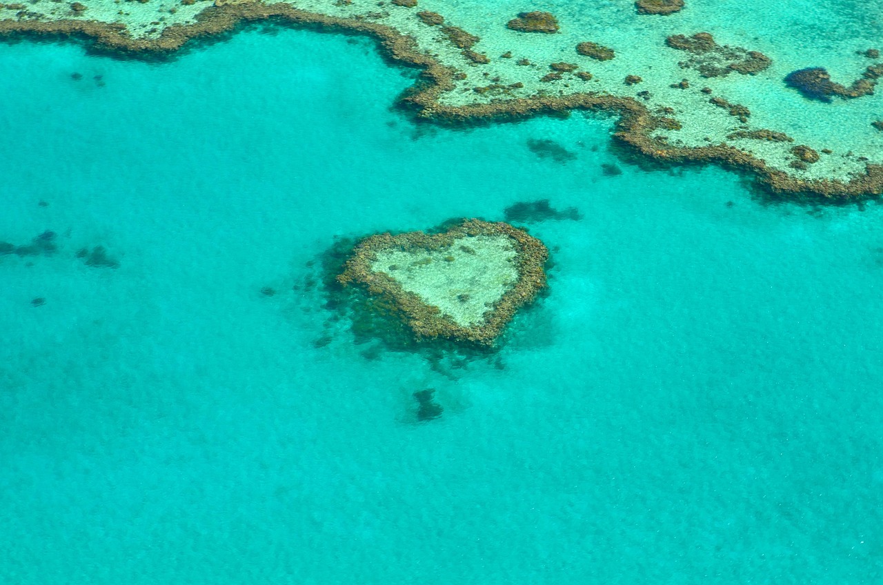 The world's largest reef system, the Great Barrier Reef - Grande barriera corallina | Secret World Trip Planner