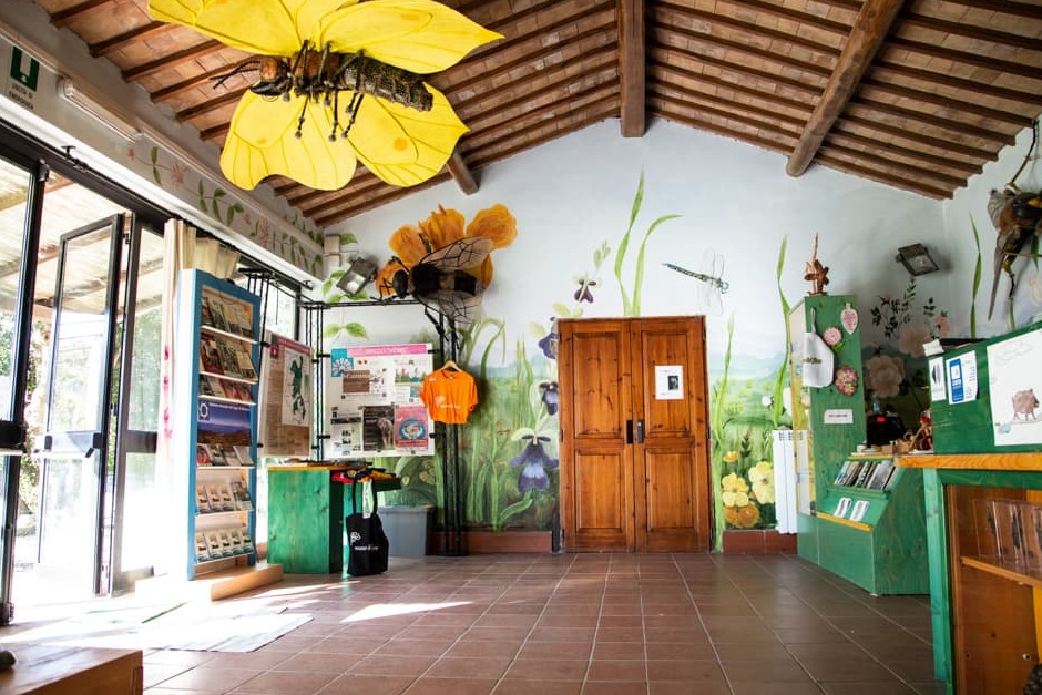 Muzeu I Luleve. - Torre Alfina | Secret World Trip Planner