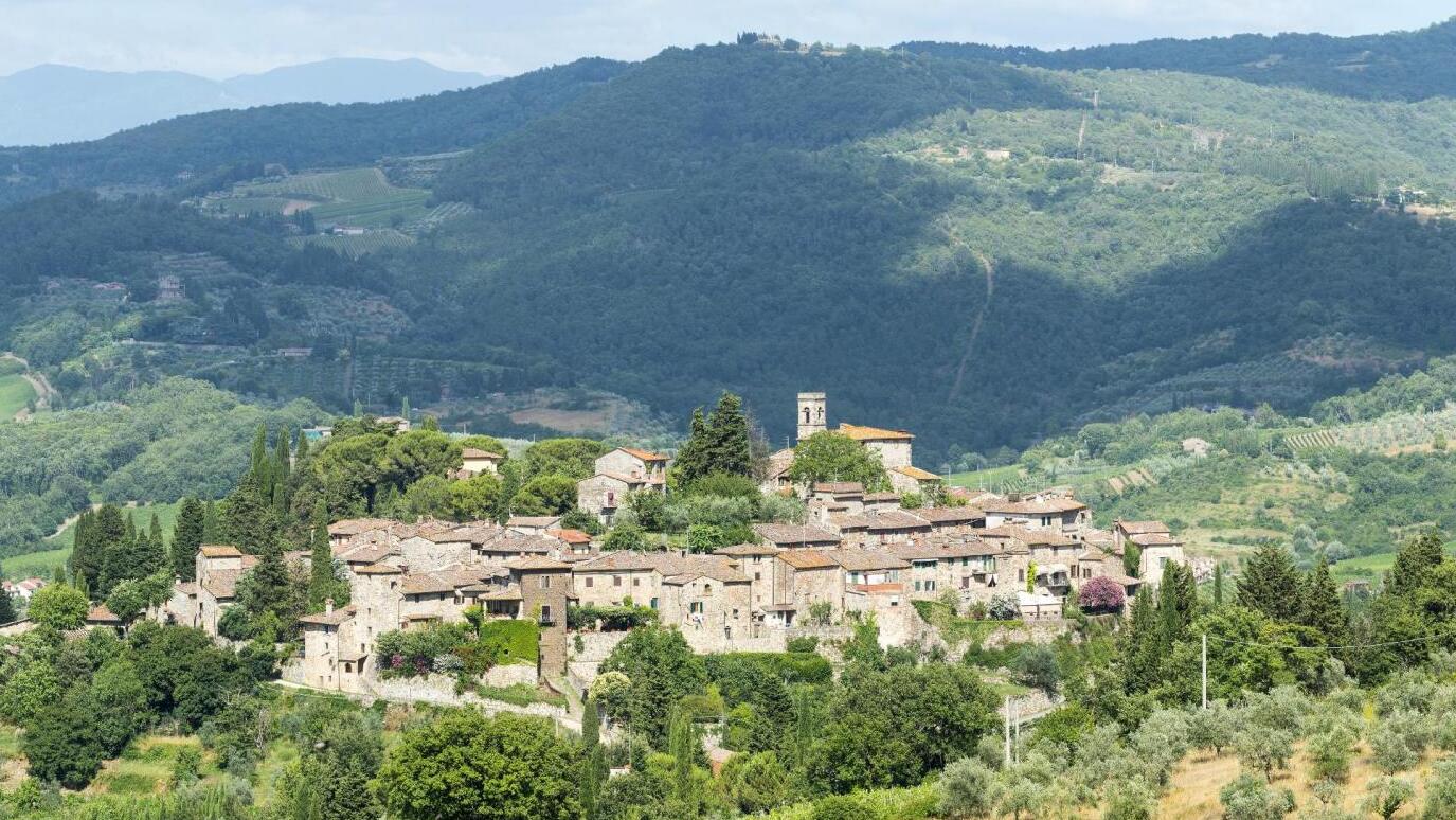 Greve in Chianti e l'ottimo vino - Greve in Chianti | Secret World Trip Planner