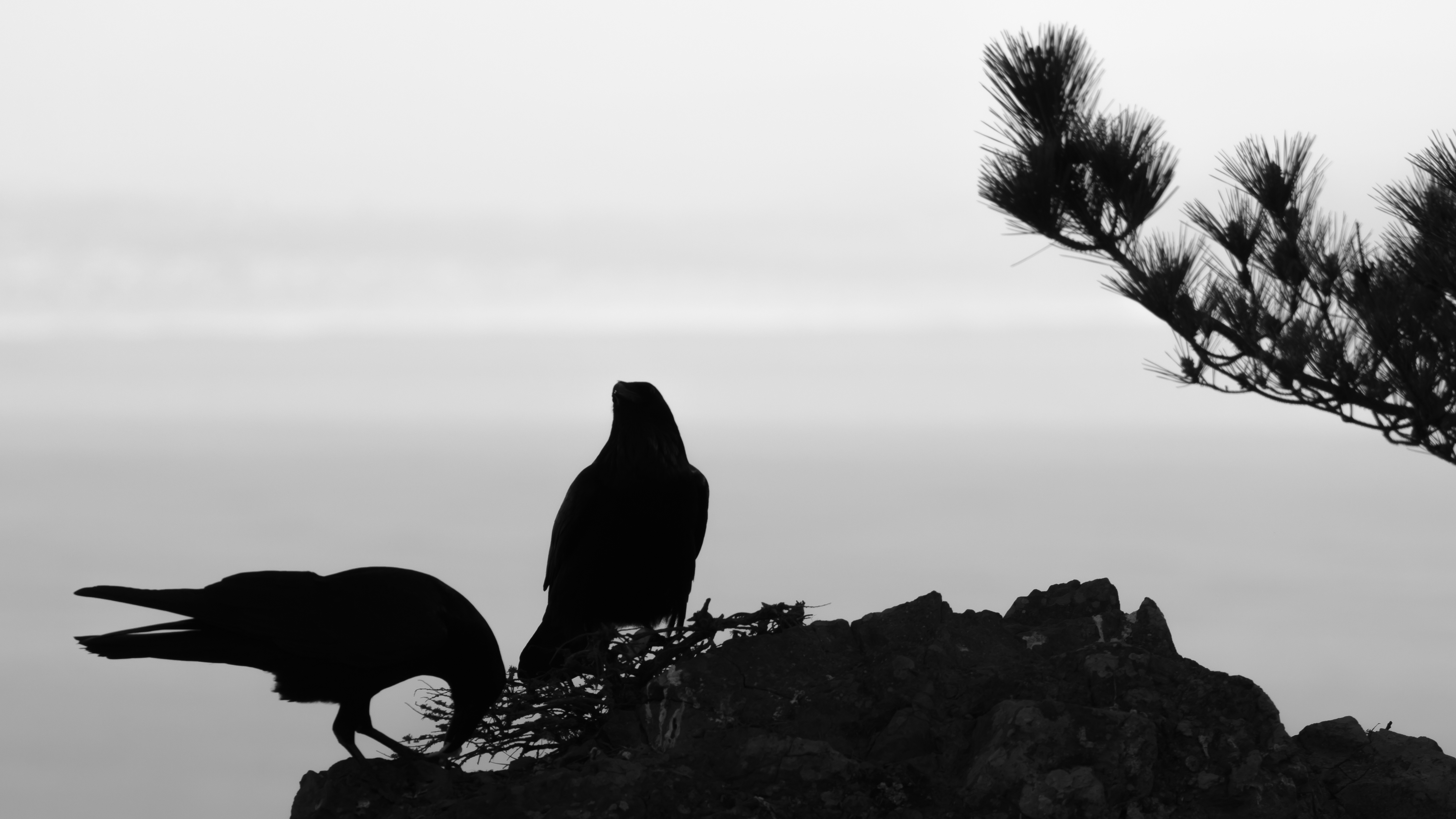 Californie | Muir Beach (la plage) - Spiaggia di Muir | Secret World Trip Planner