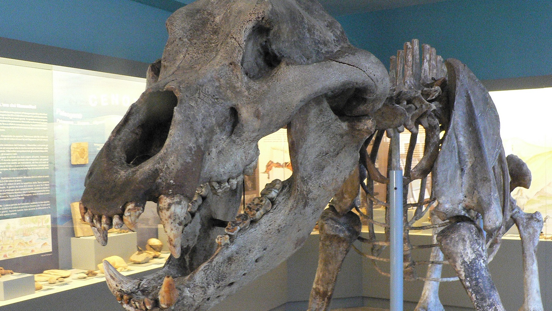 Sand Valley Archaeological Museum - Gavardo | Secret World Trip Planner