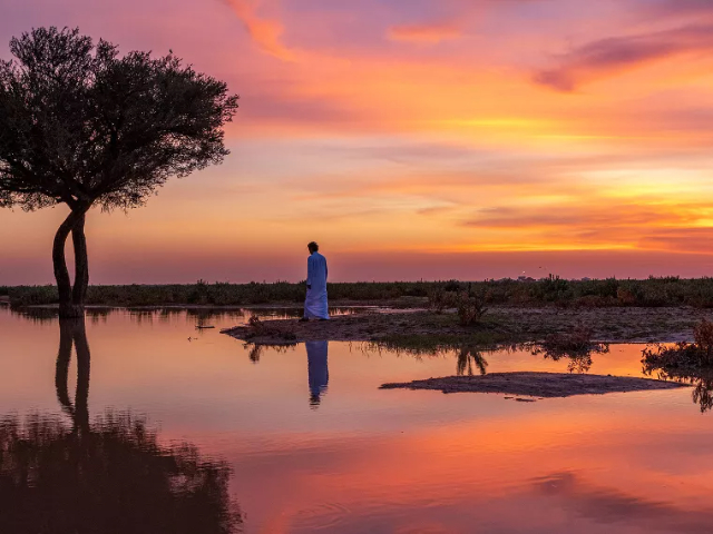 Rawdat Tinhat: Una Passeggiata tra i Tulipani - أم رجوم | Secret World Trip Planner