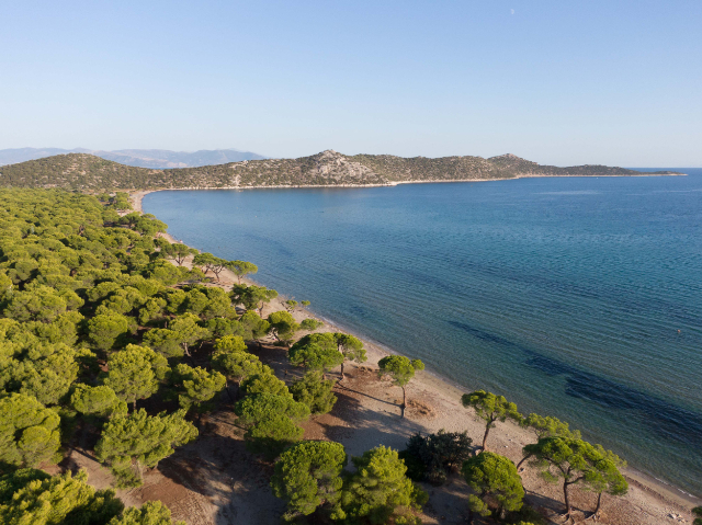 The beach of Schinias - Marathon | Secret World Trip Planner