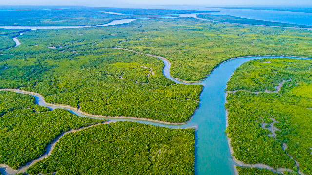 The Sundarbans Reserve Forest (SRF) | Secret World Trip Planner