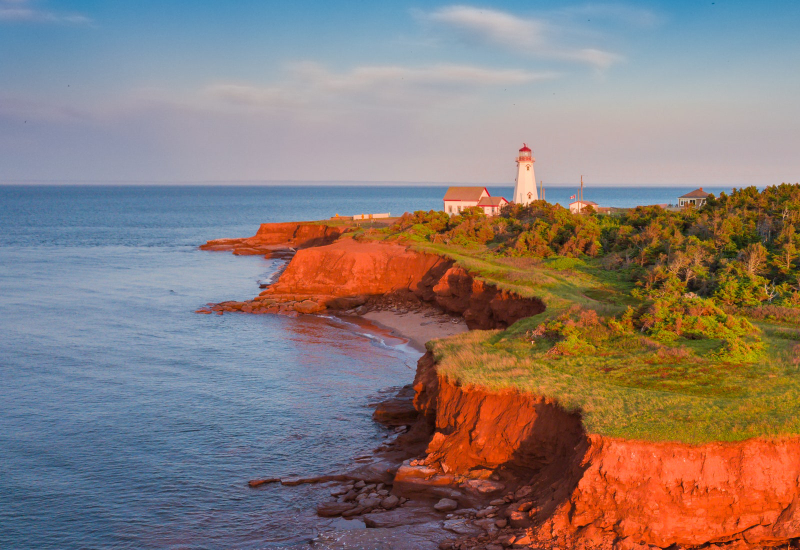 Il miglior birdwatching dell'Isola del Principe Edoardo — East Point
