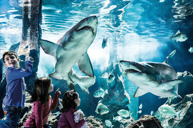 Akwarium w Genui - Genova | Secret World Trip Planner