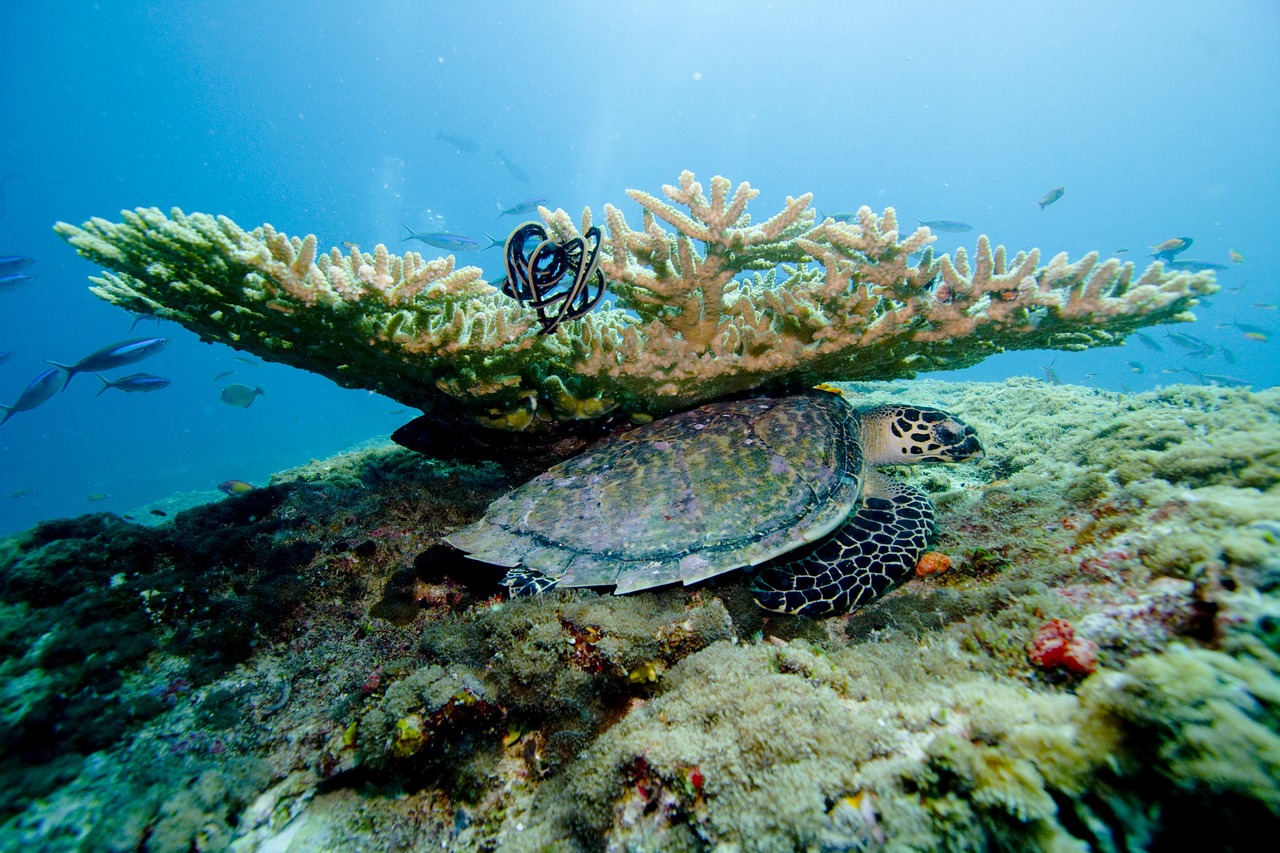 Bacalar, les Maldives du Mexique. - Laguna di Bacalar | Secret World Trip Planner