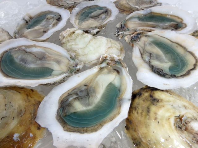 Huîtres vertes - Carolina Beach | Secret World Trip Planner