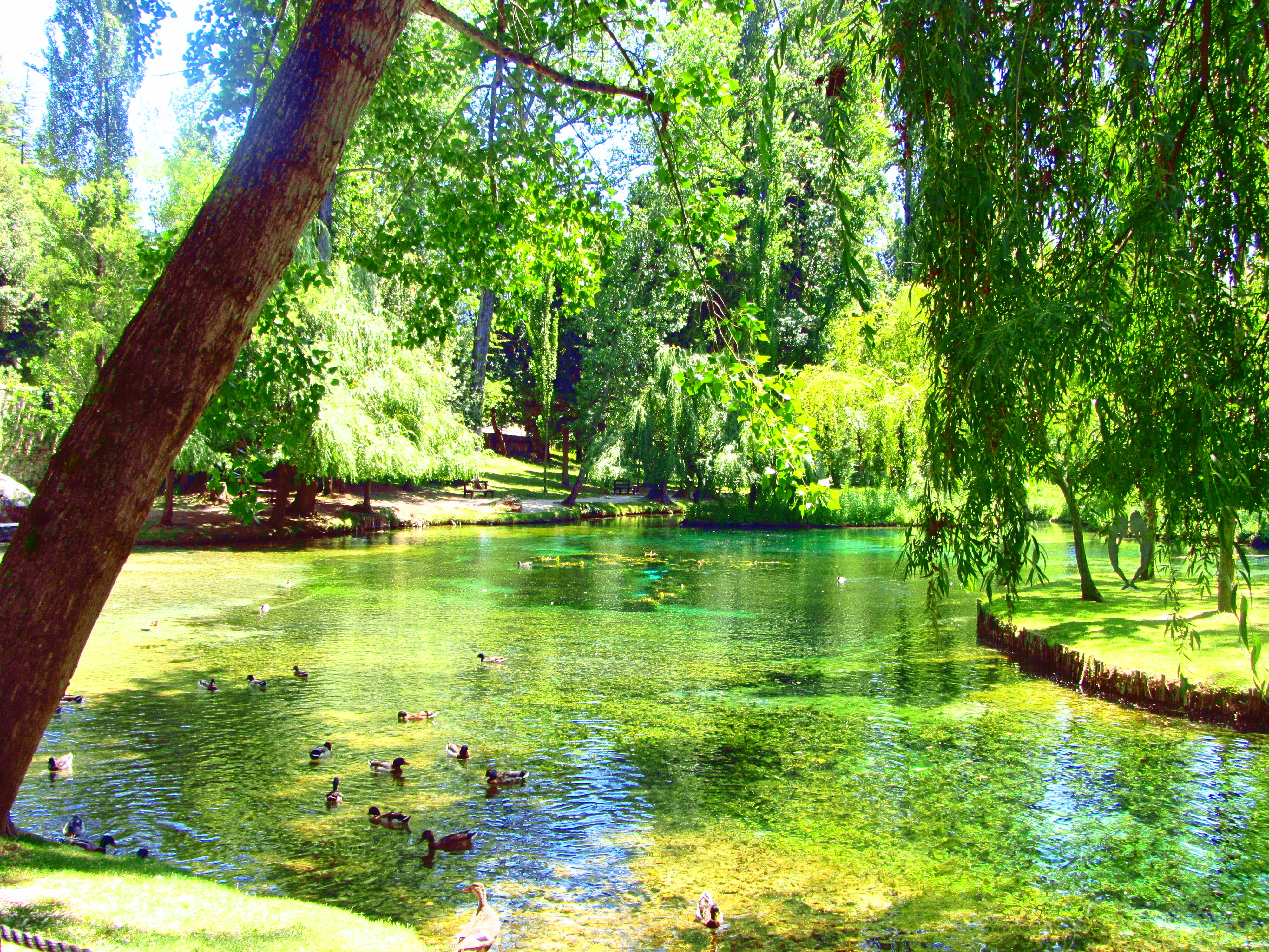 फॉन्टी डेल क्लिटुम्नो - Campello Sul Clitunno | Secret World Trip Planner