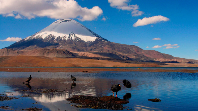 Réserve nationale Las Vicuñas | Secret World Trip Planner