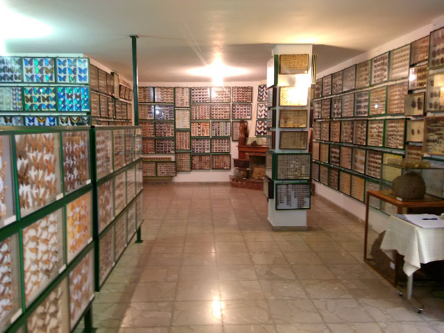 Entomologisches Museum von Volos - Volos | Secret World Trip Planner